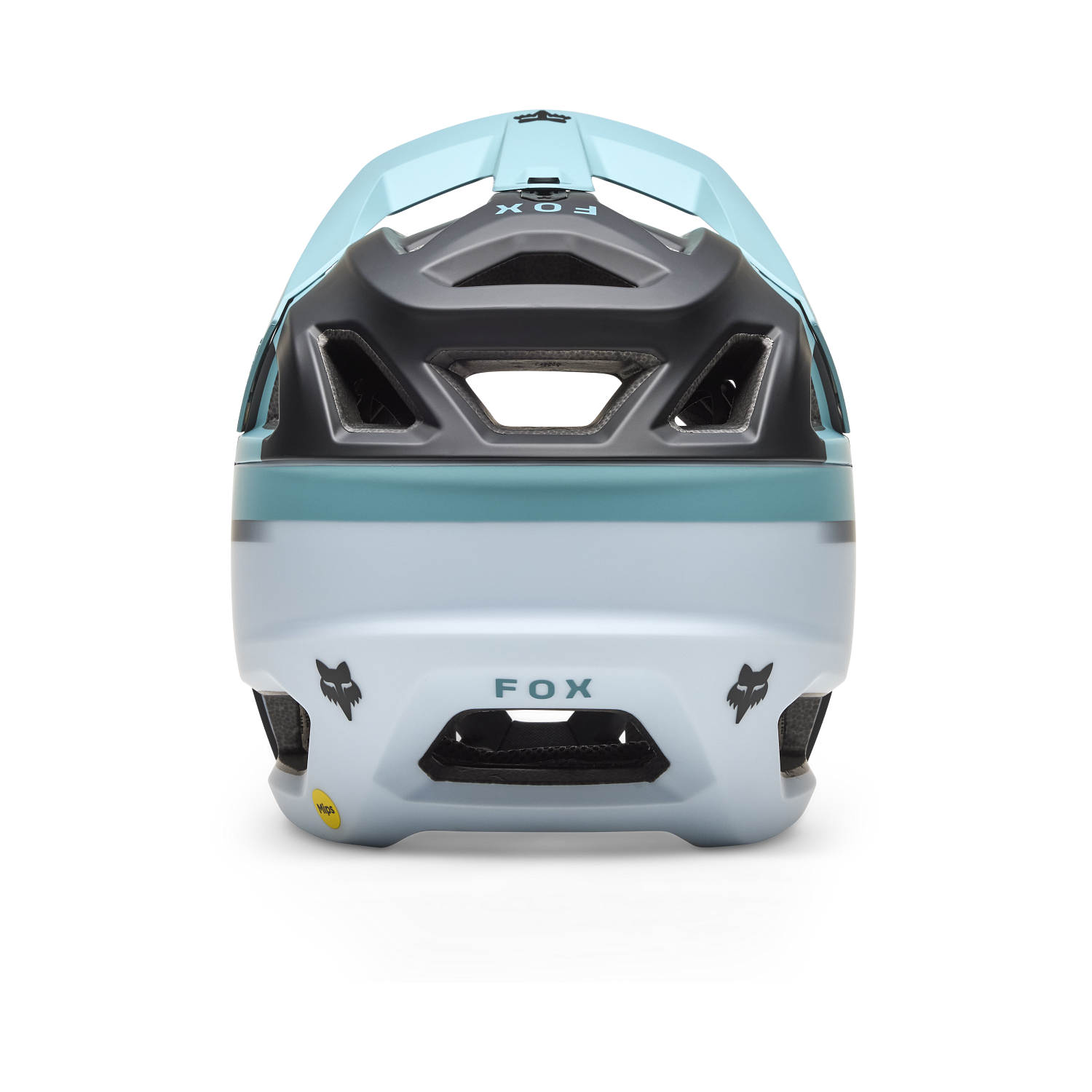 Proframe Rizer Helmet