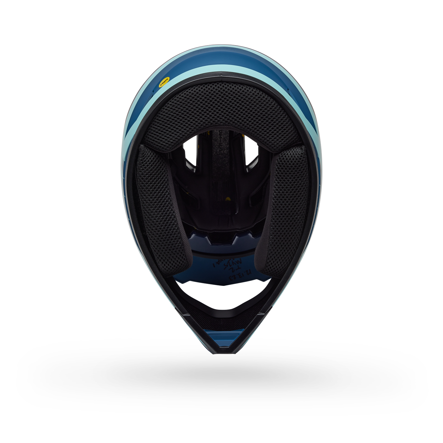 Sanction 2 DLX MIPS