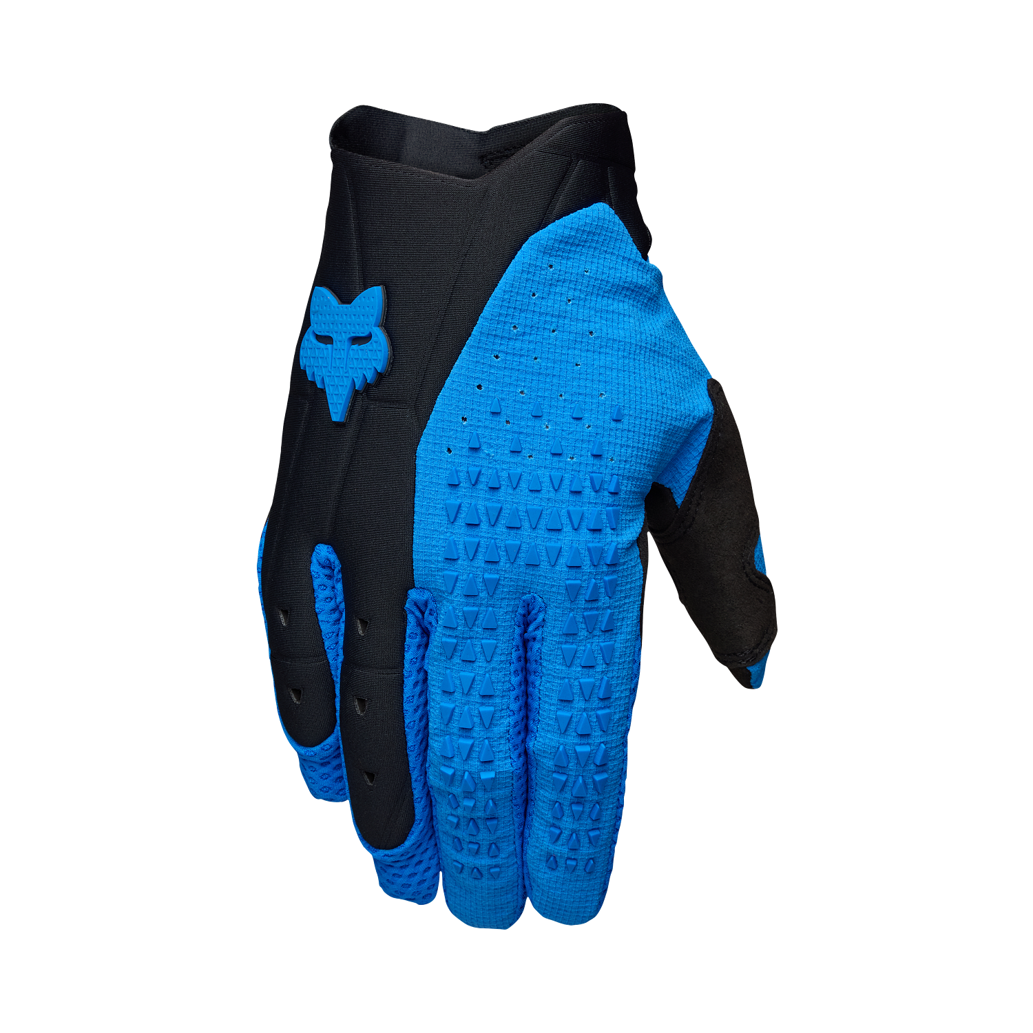 Handschuhe Pawtector