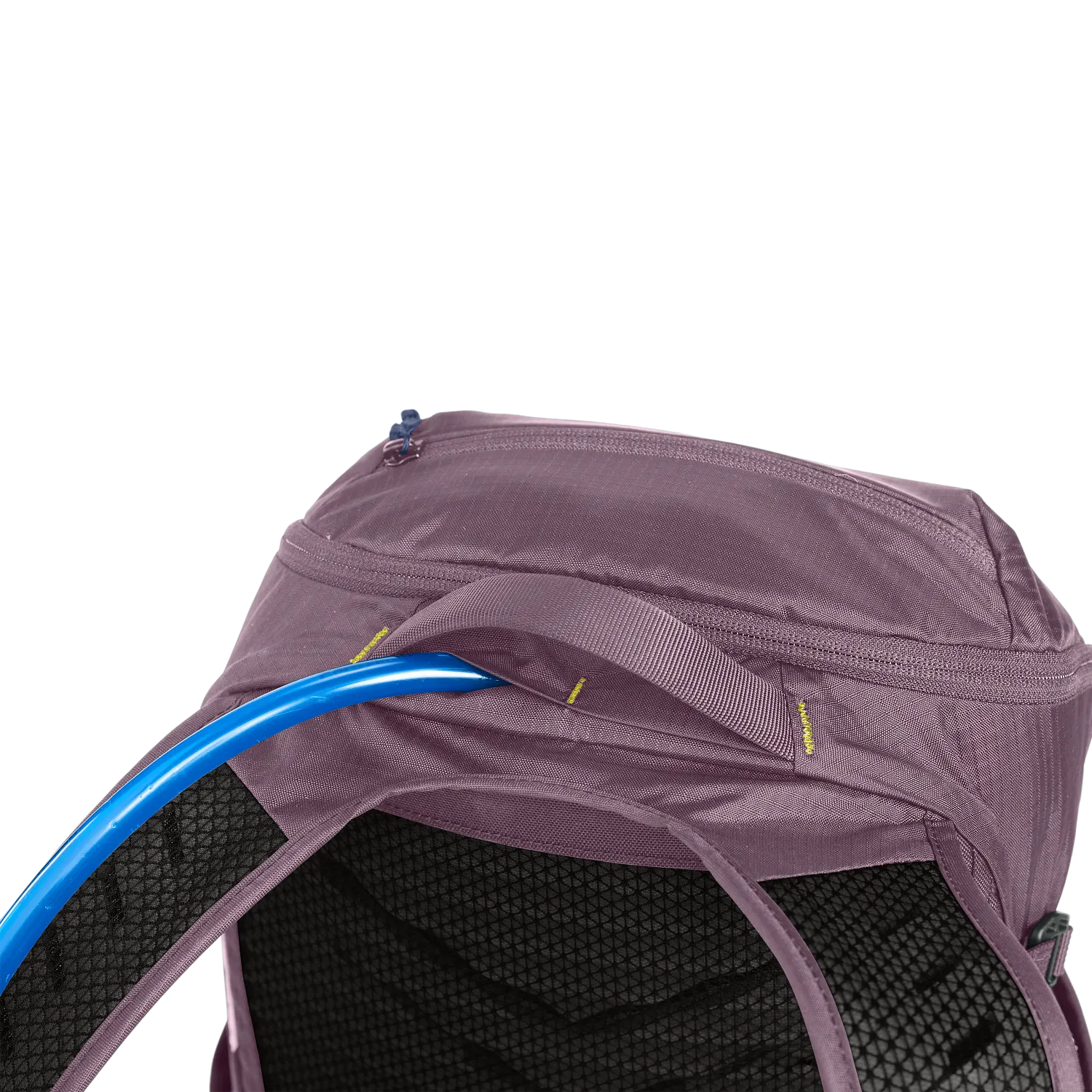 Women's Rim Runner X20 50oz, Dusty Purple