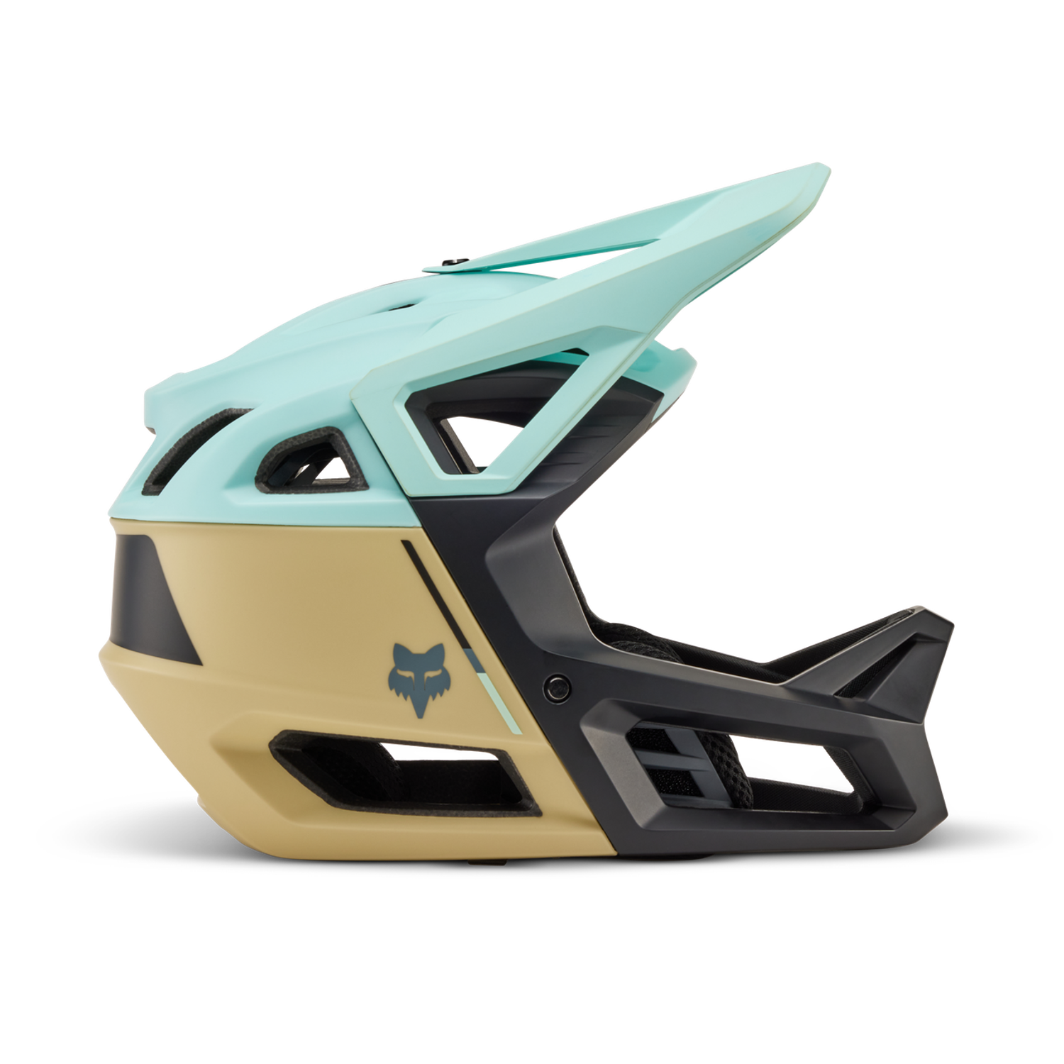 Proframe Helmet