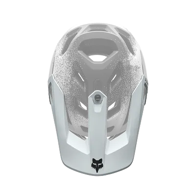 Proframe RS Aura Visor