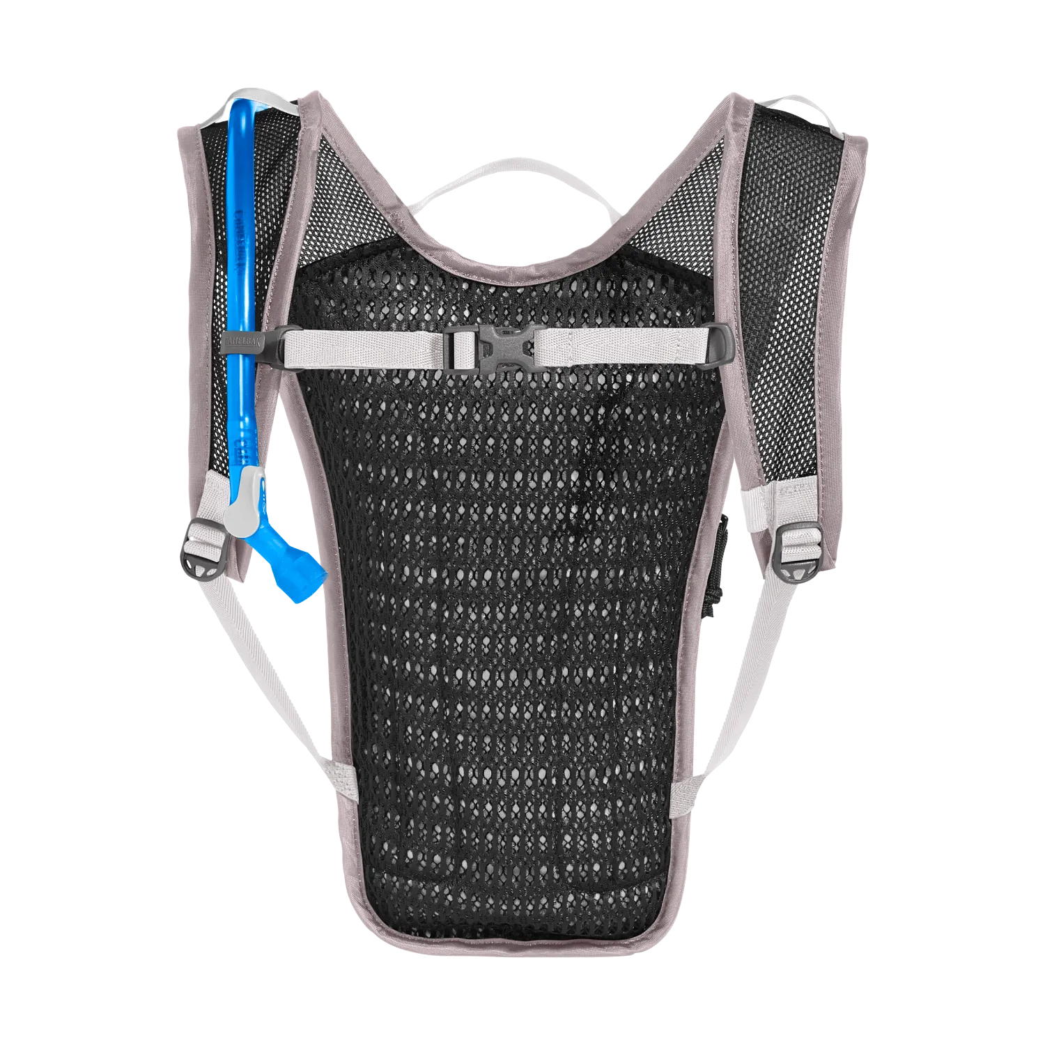 Hydrobak Light 50oz, Purple Dove