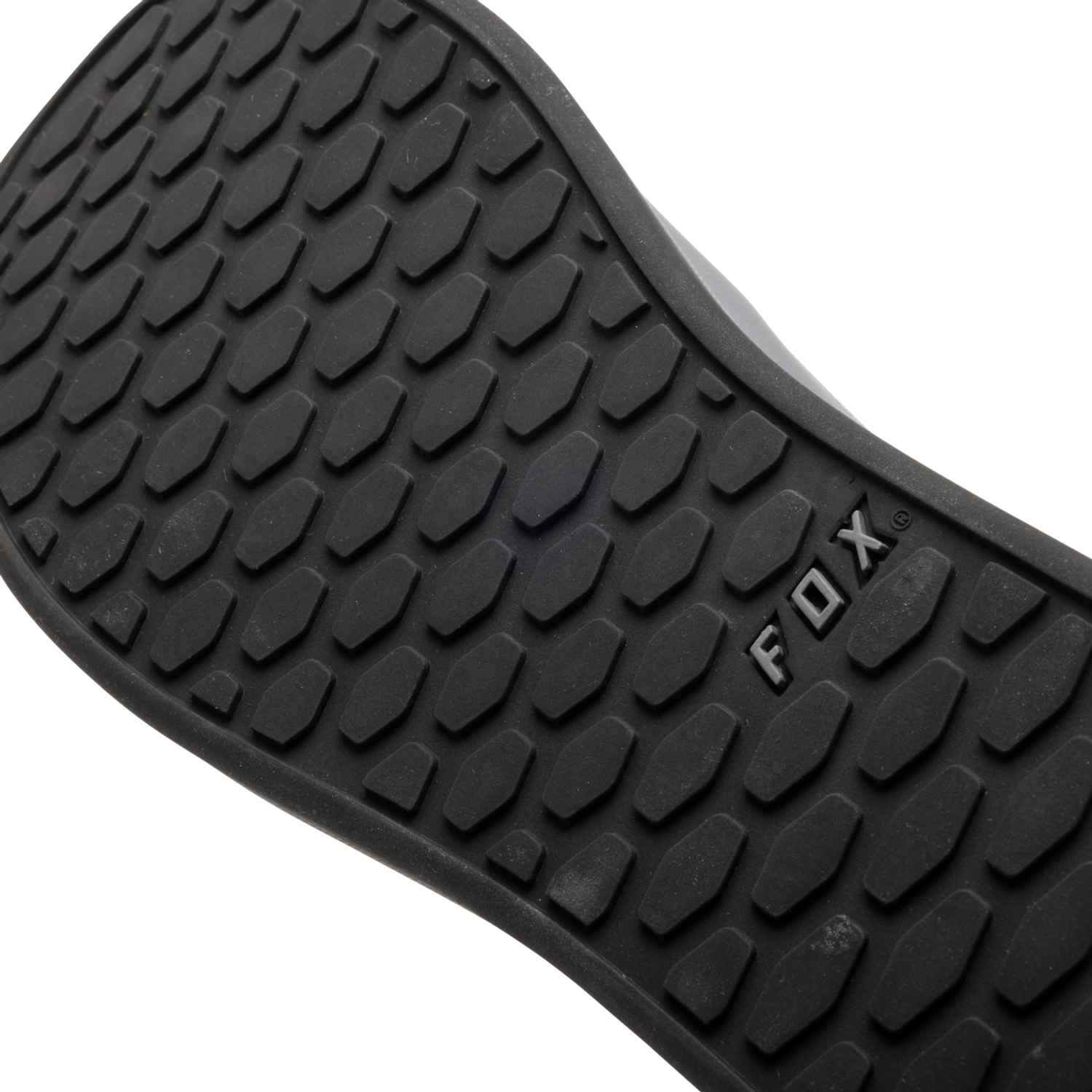 Fox Union Canvas Shoes
