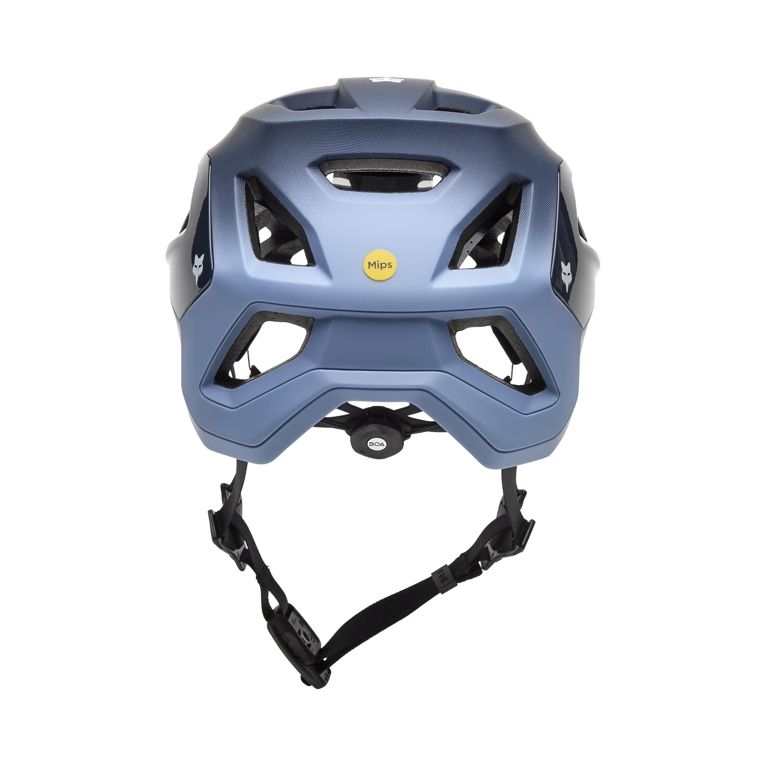 SPEEDFRAME PRO BACKFADE, AS 