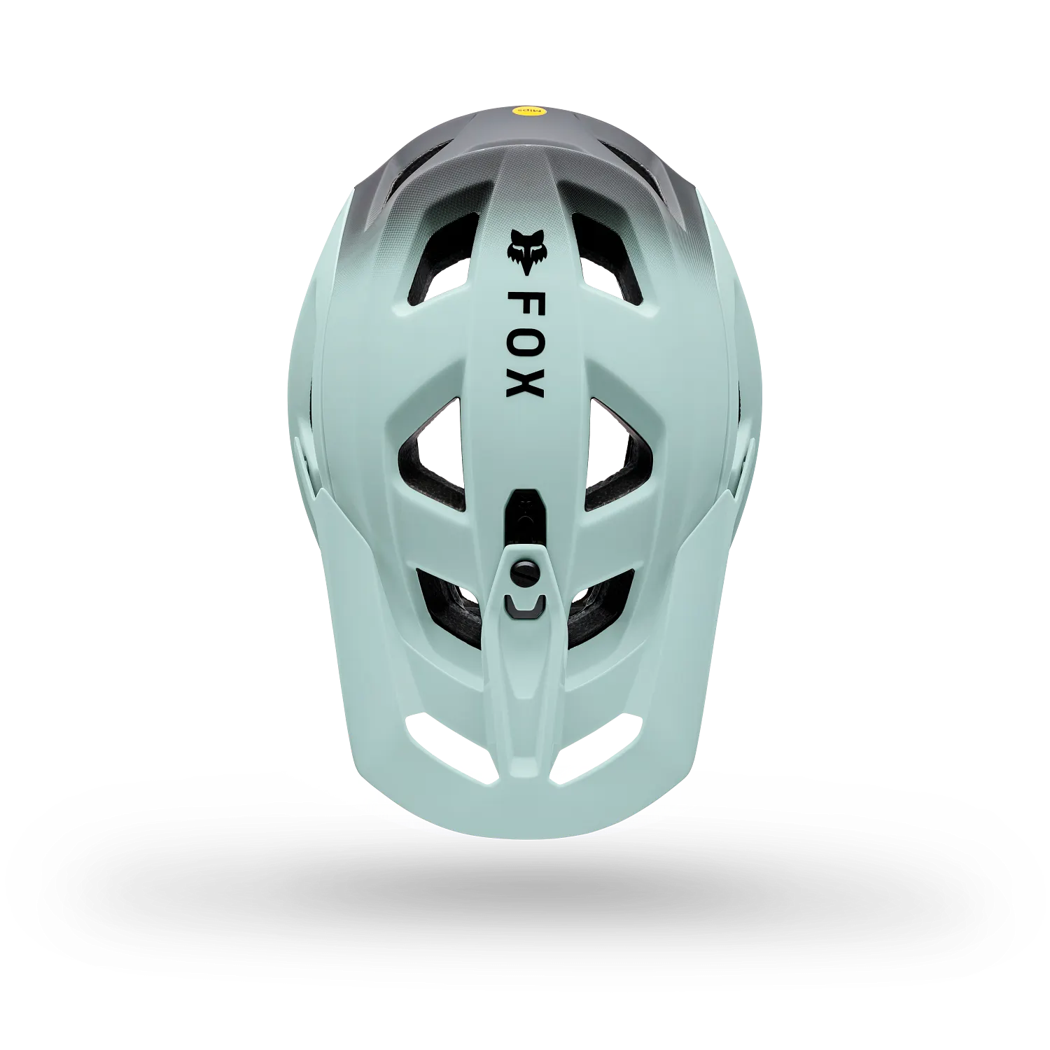 SPEEDFRAME PRO BACKFADE, CE 