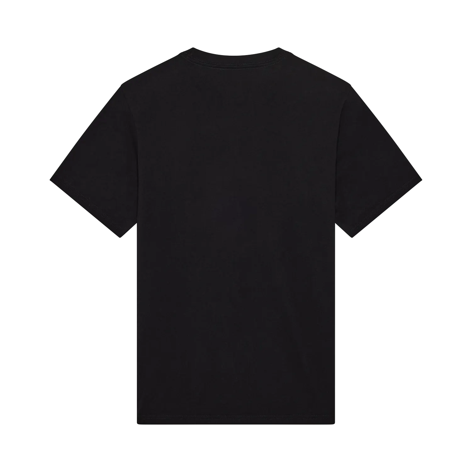 ABSOLUTE 195 ORIGINAL SS TEE 