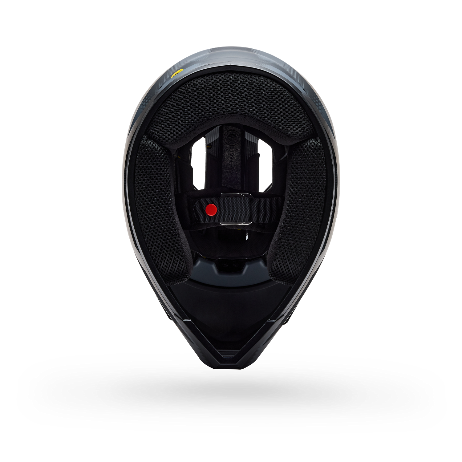 Sanction 2 DLX MIPS