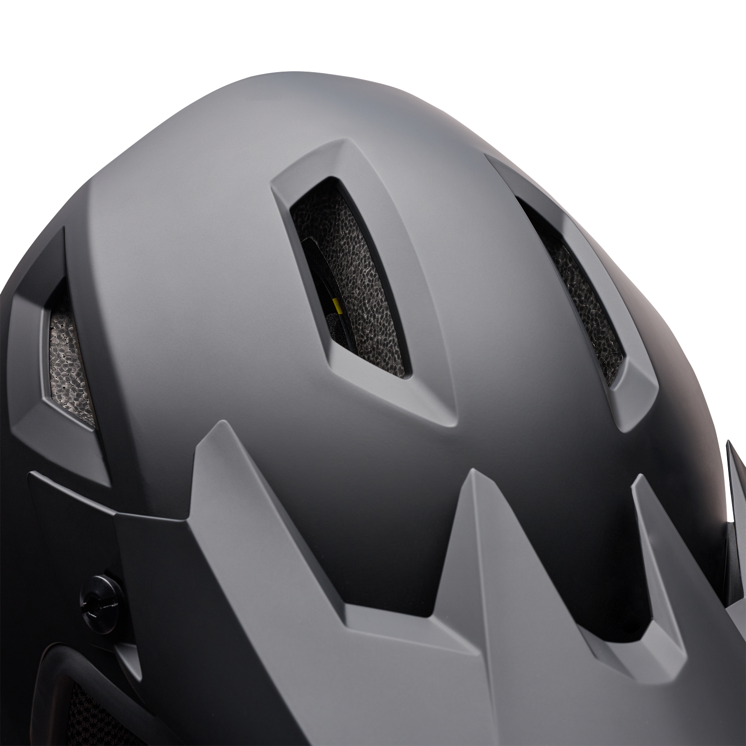 Sanction 2 DLX MIPS