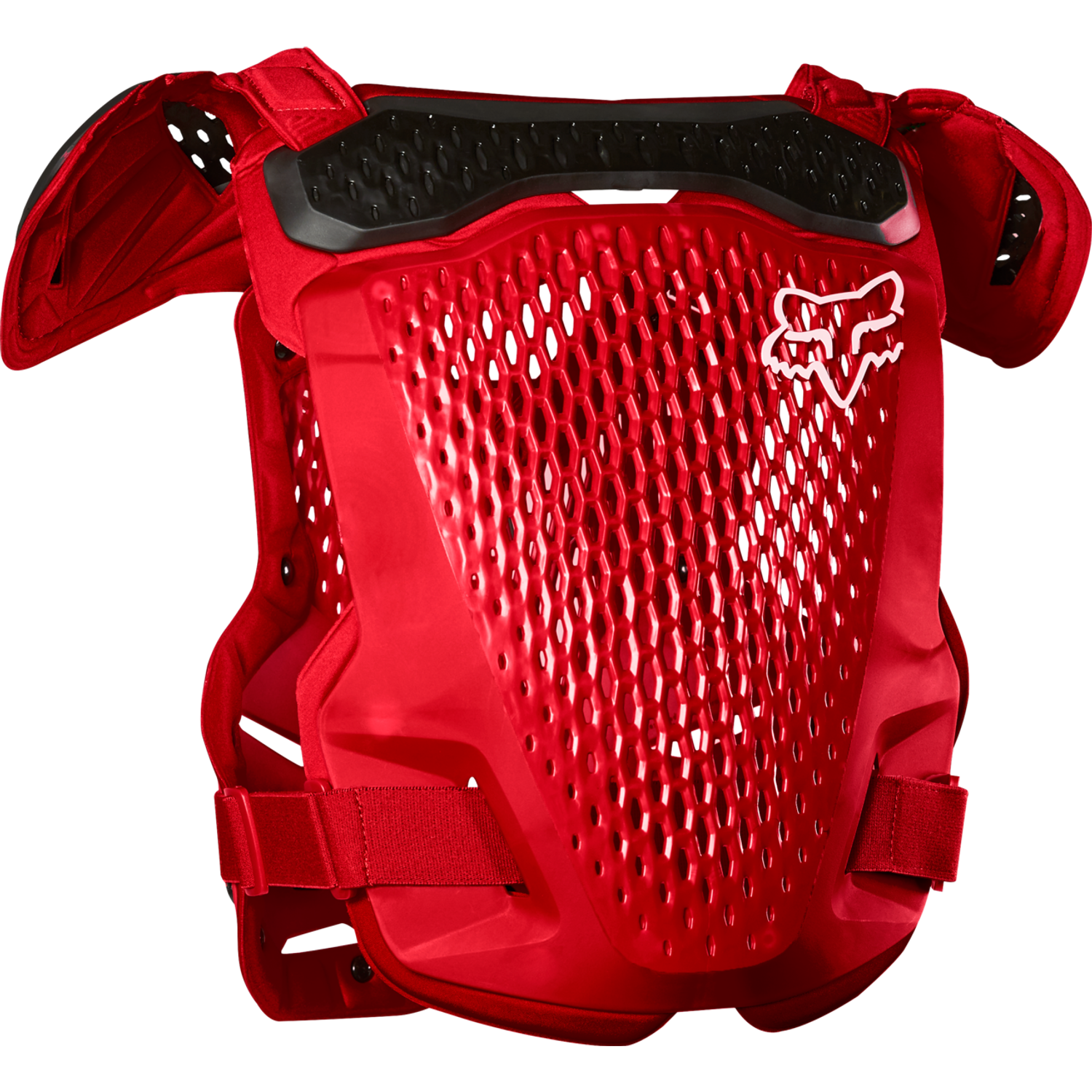PROTECTOR R3