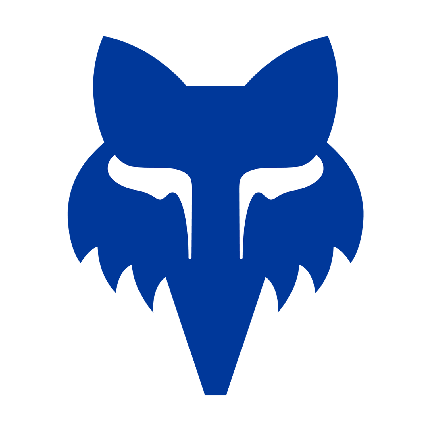 FOX HEAD 4" [BLU] OS