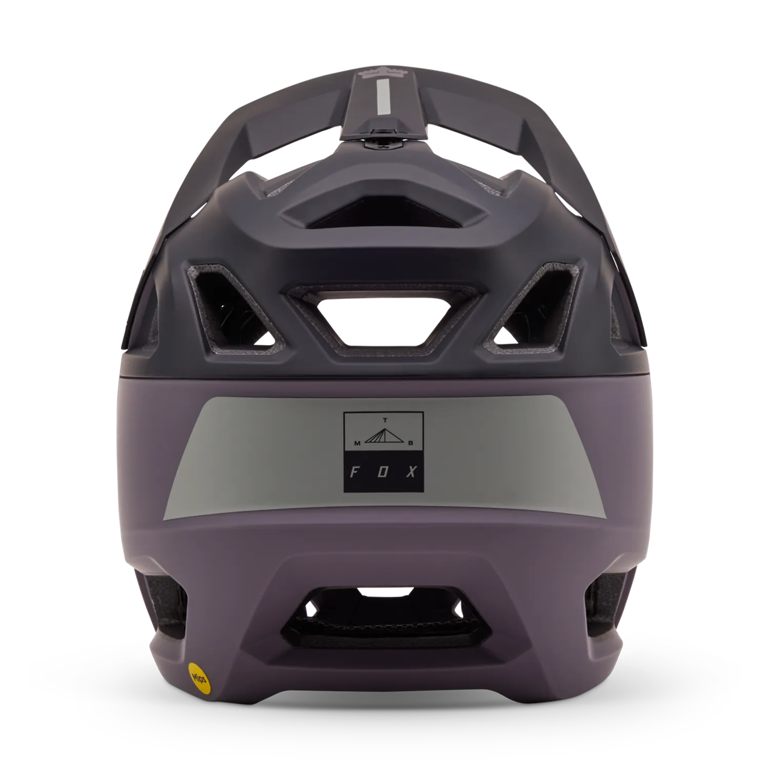 Proframe Helmet