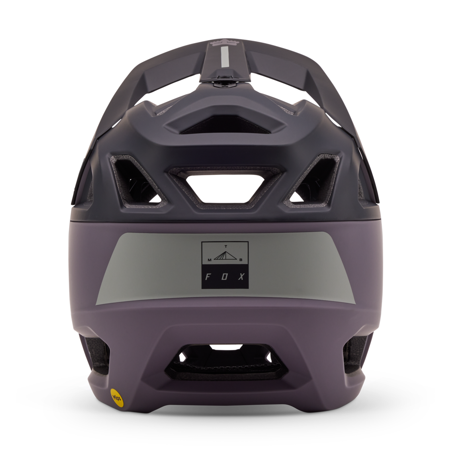 Proframe Helmet