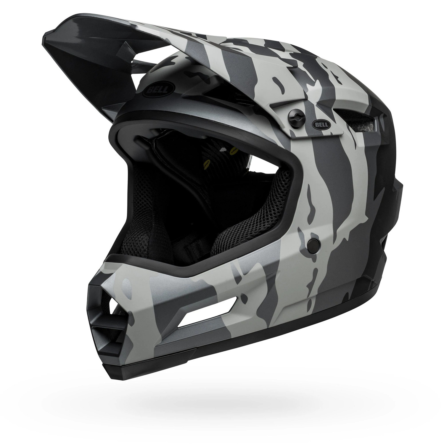 Sanction 2 DLX MIPS