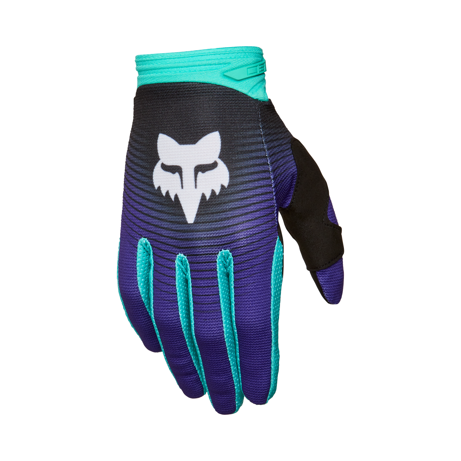 Gants 180 Collect