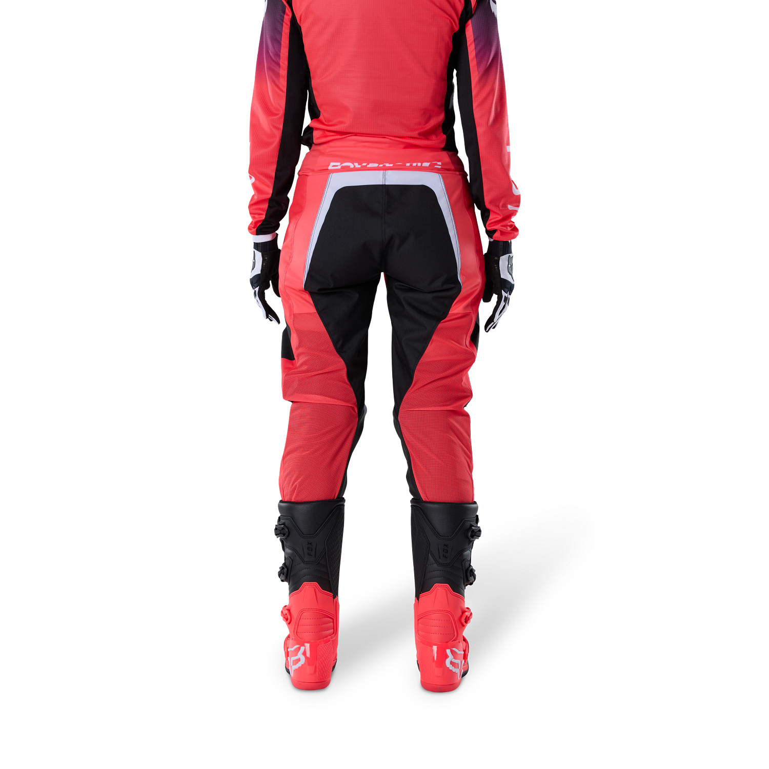 Women's 180 Frame Pant