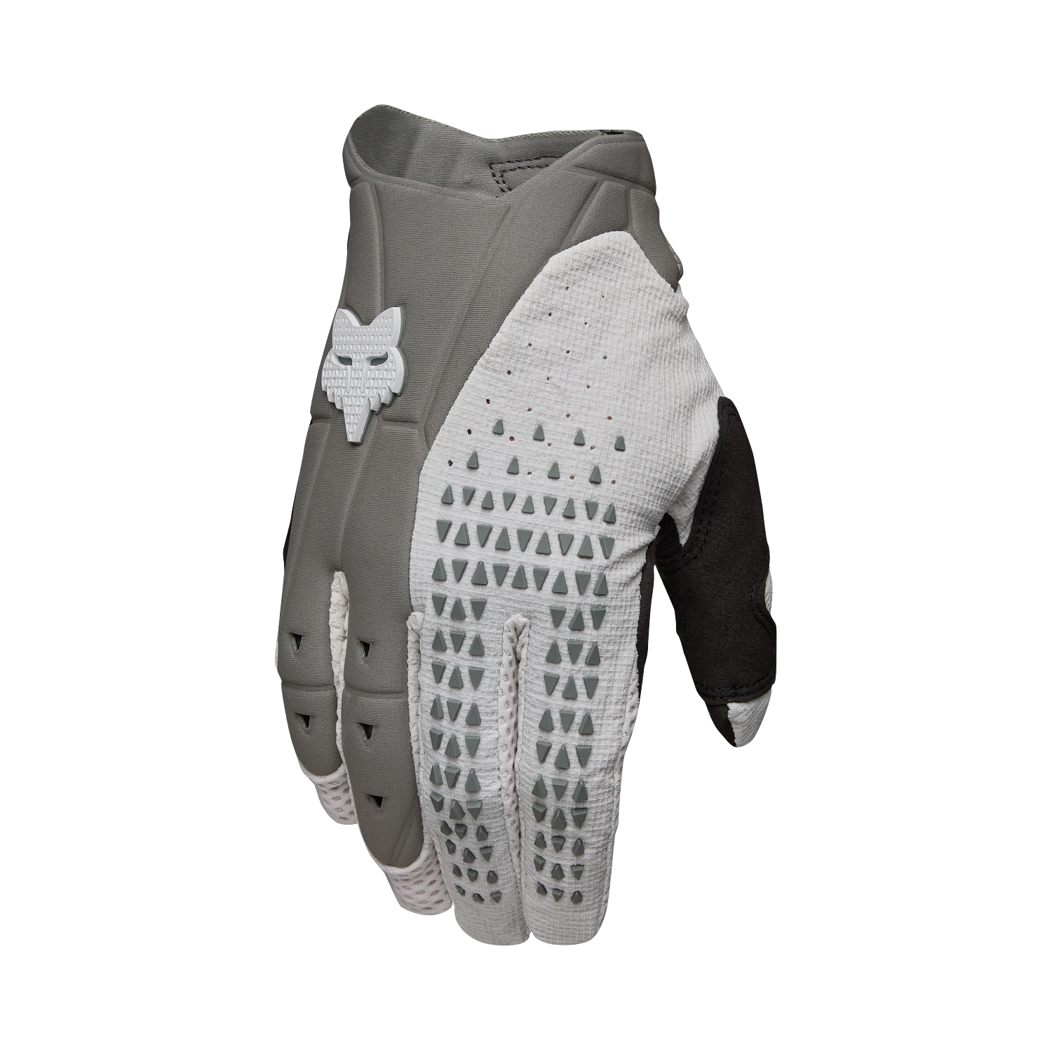 Handschuhe Pawtector