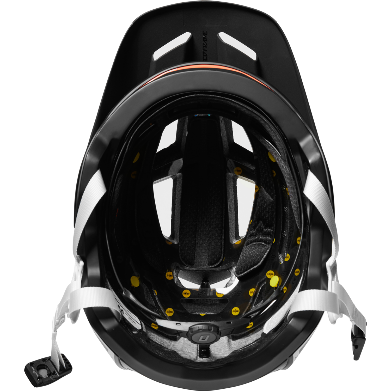 SPEEDFRAME PRO DVIDE [BLK] L
