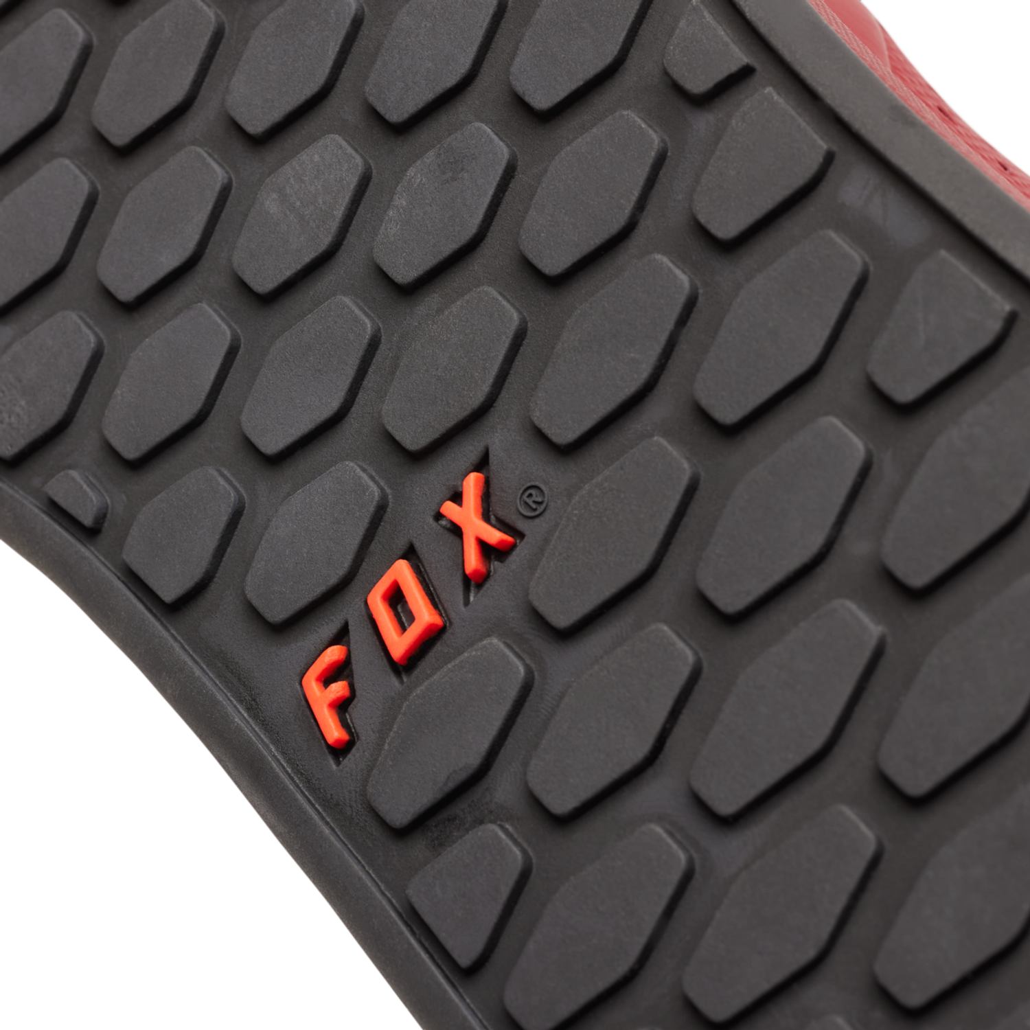 Zapatillas Fox Union Flat