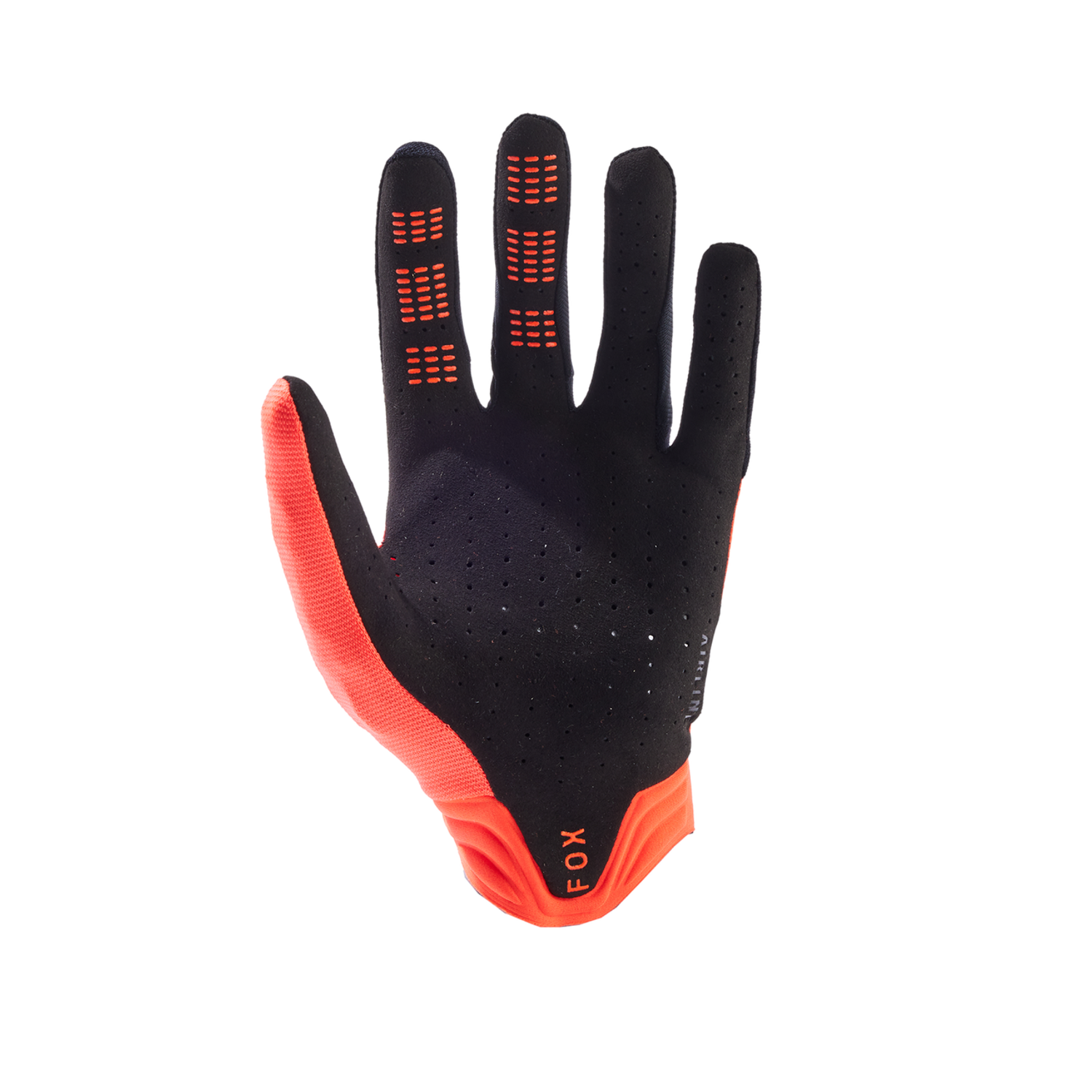 Gants Airline