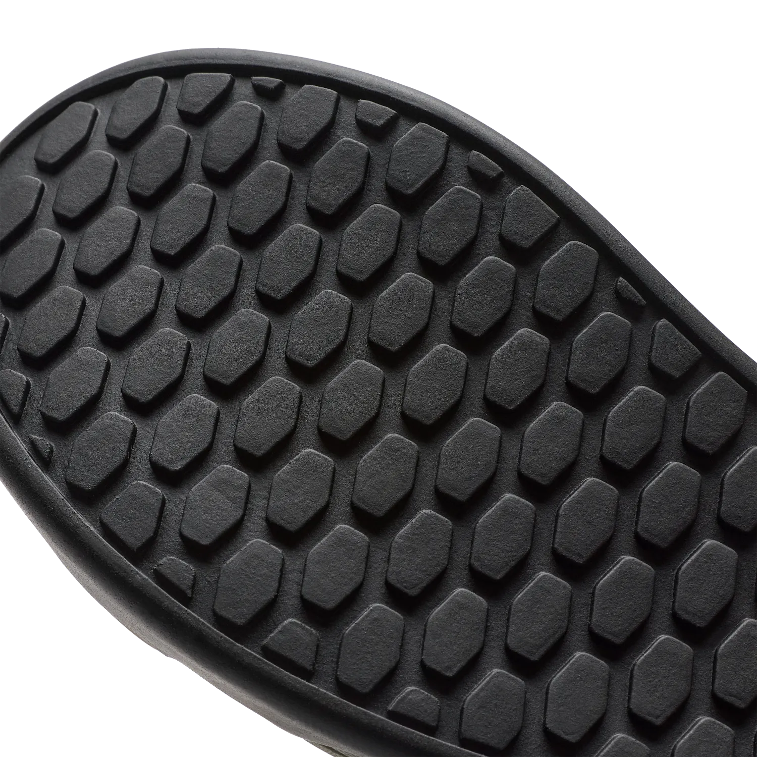 Schoenen Fox Union Canvas