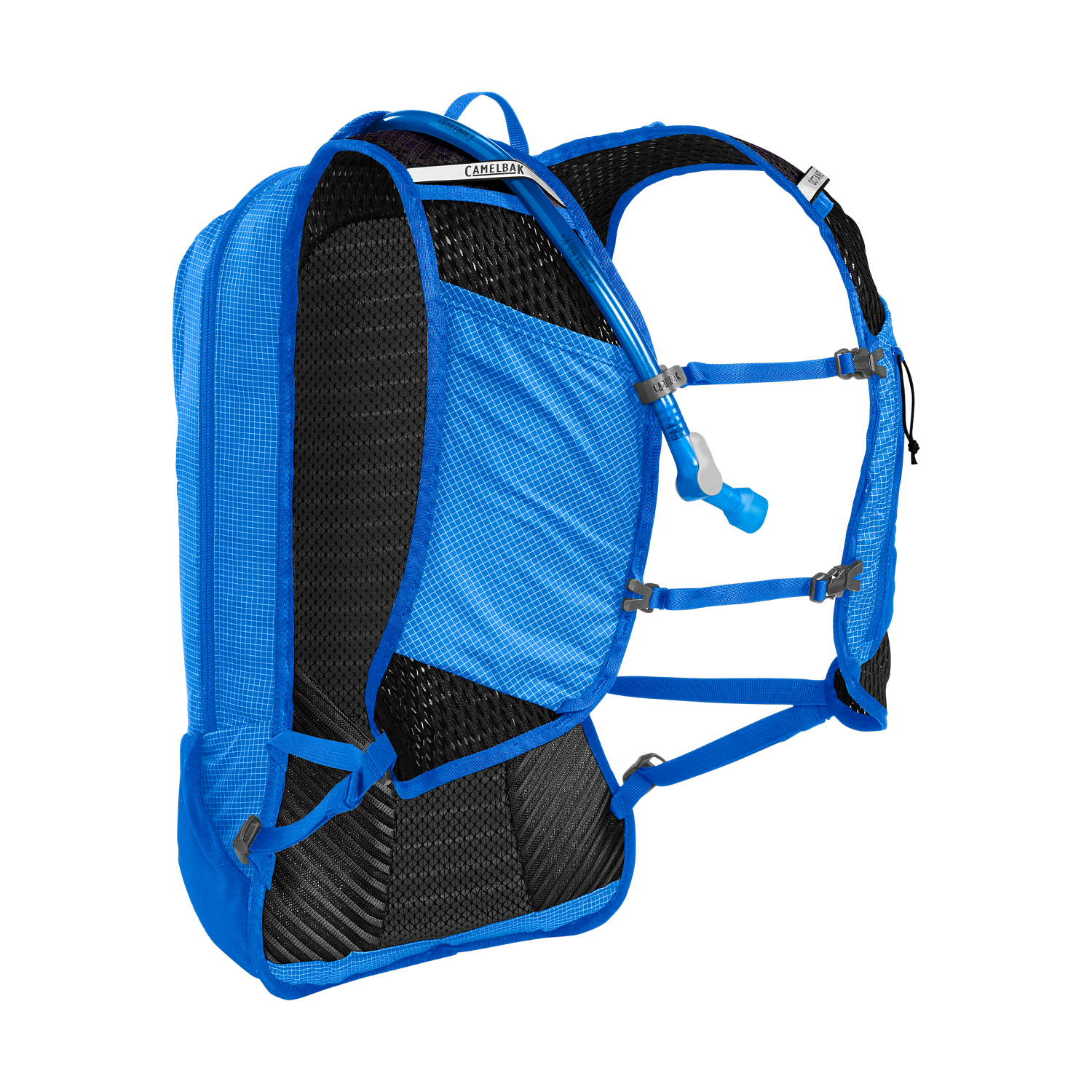 OCTANE 12 FUSION 2L [ROY BLU] OS