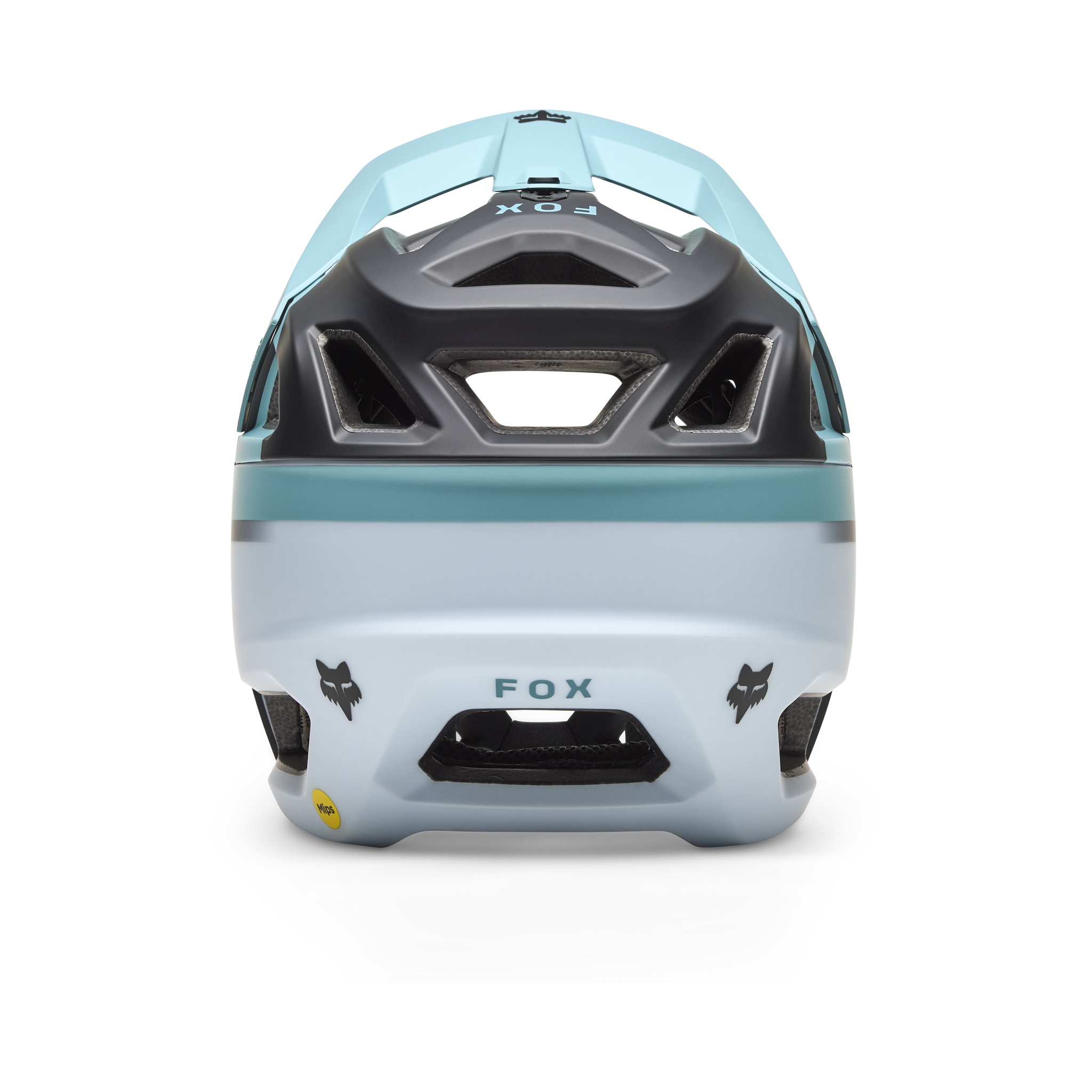 Fox Racing Proframe Rizer Helmet