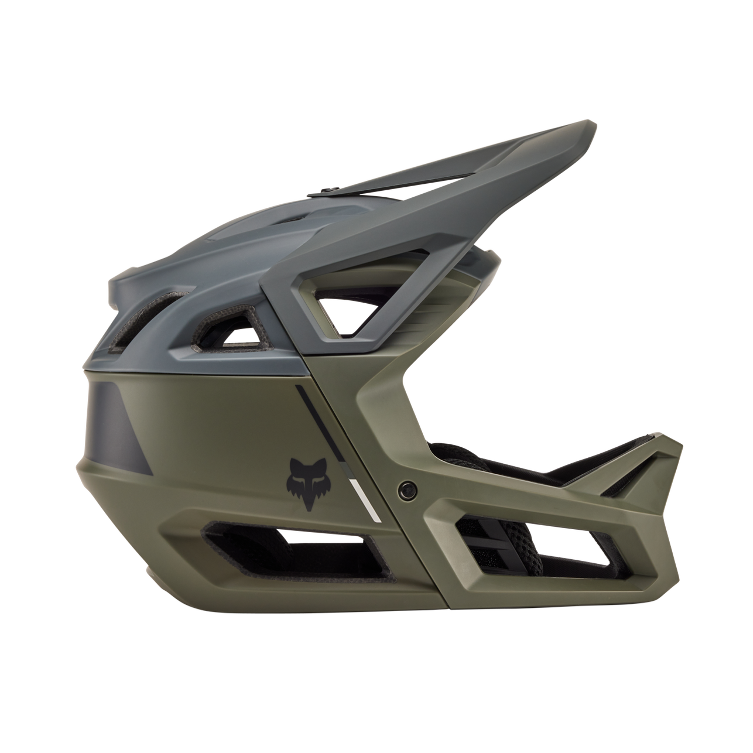 Proframe Helmet