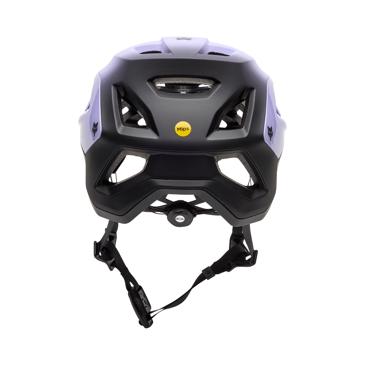 SPEEDFRAME PRO BACKFADE 