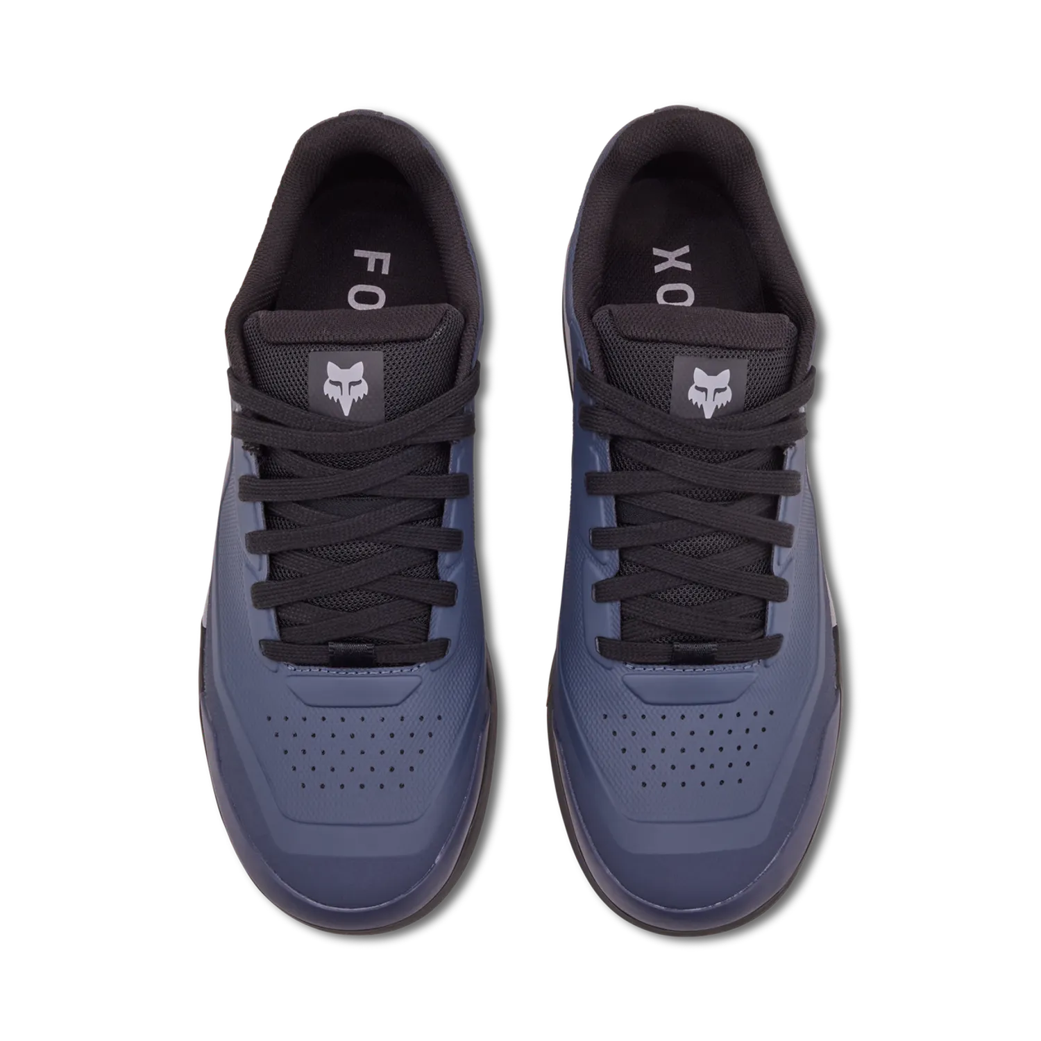 Schoenen Fox Union Flat