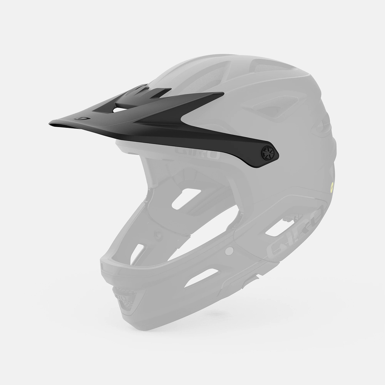 Switchblade Visor