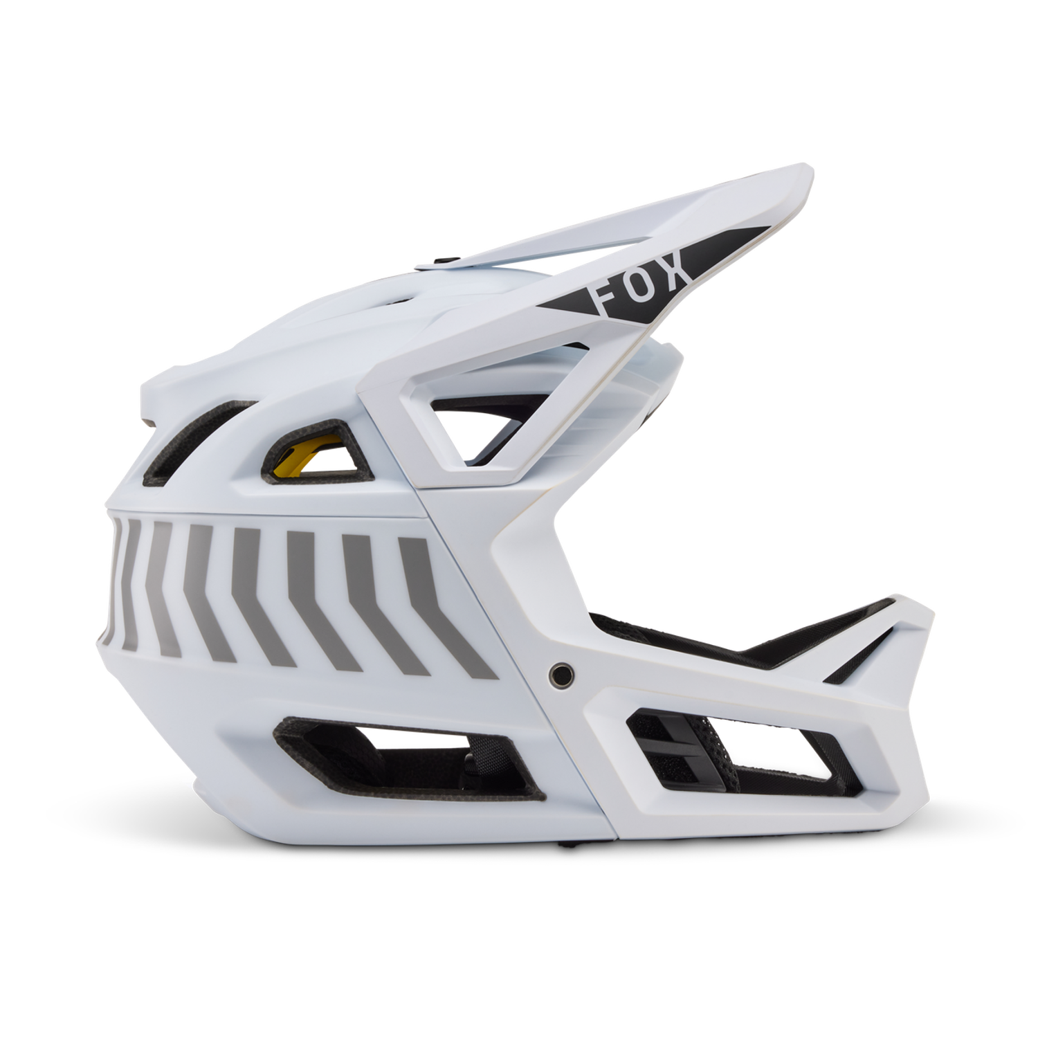 Proframe Nace Helmet