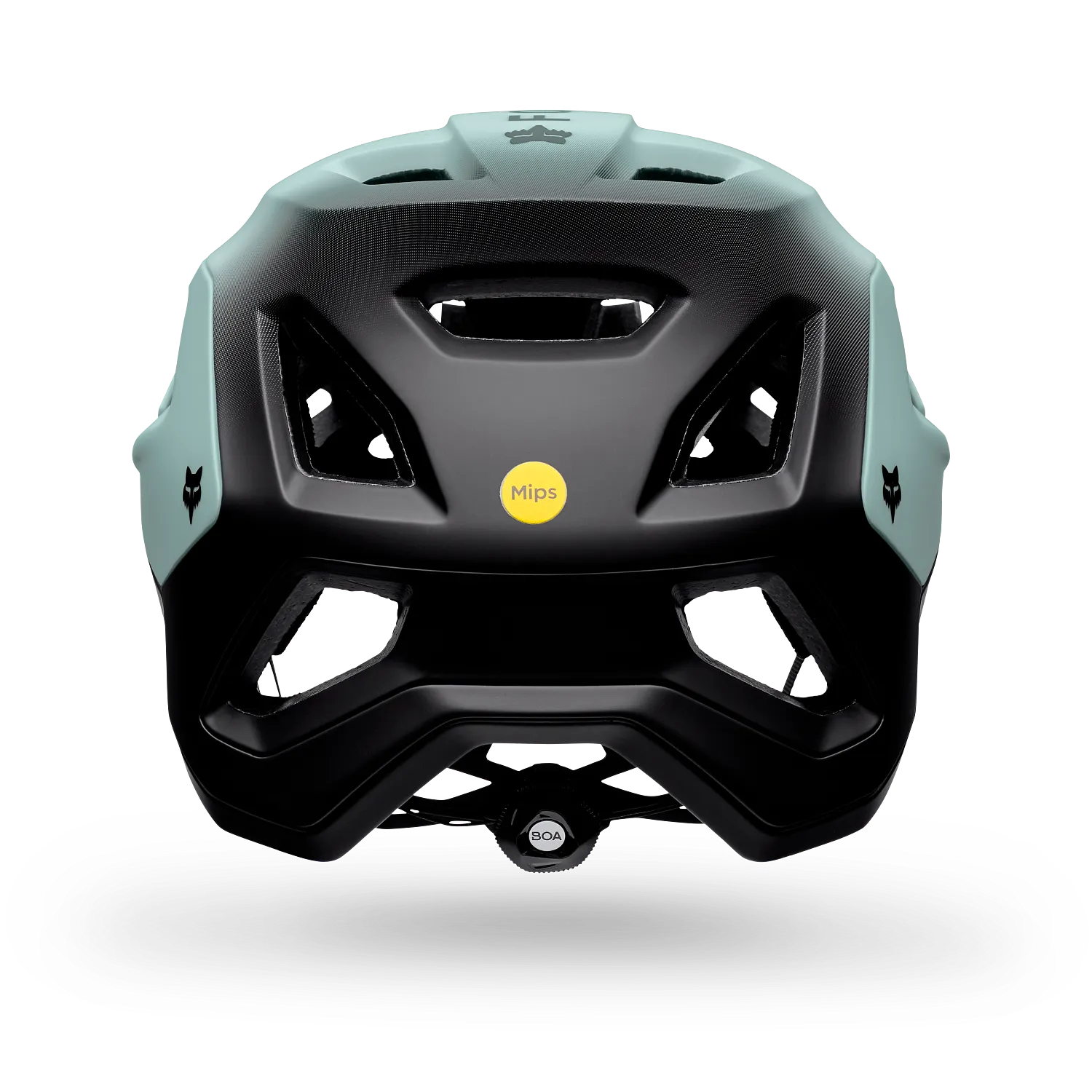 SPEEDFRAME PRO BACKFADE, CE 