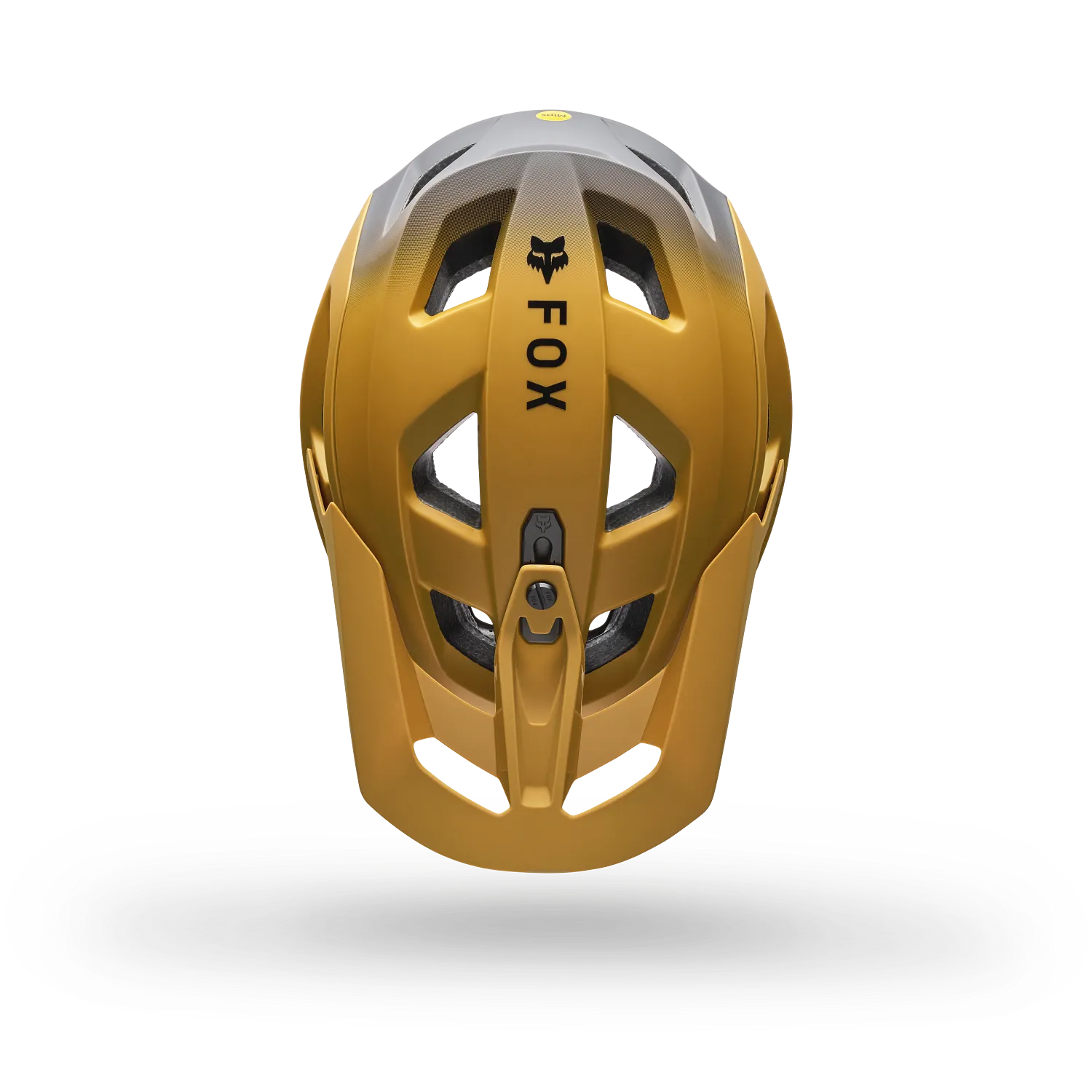 SPEEDFRAME PRO BACKFADE 