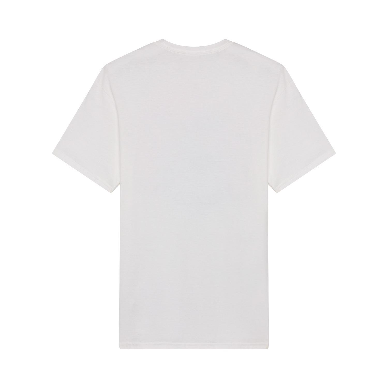 Kawasaki Tee