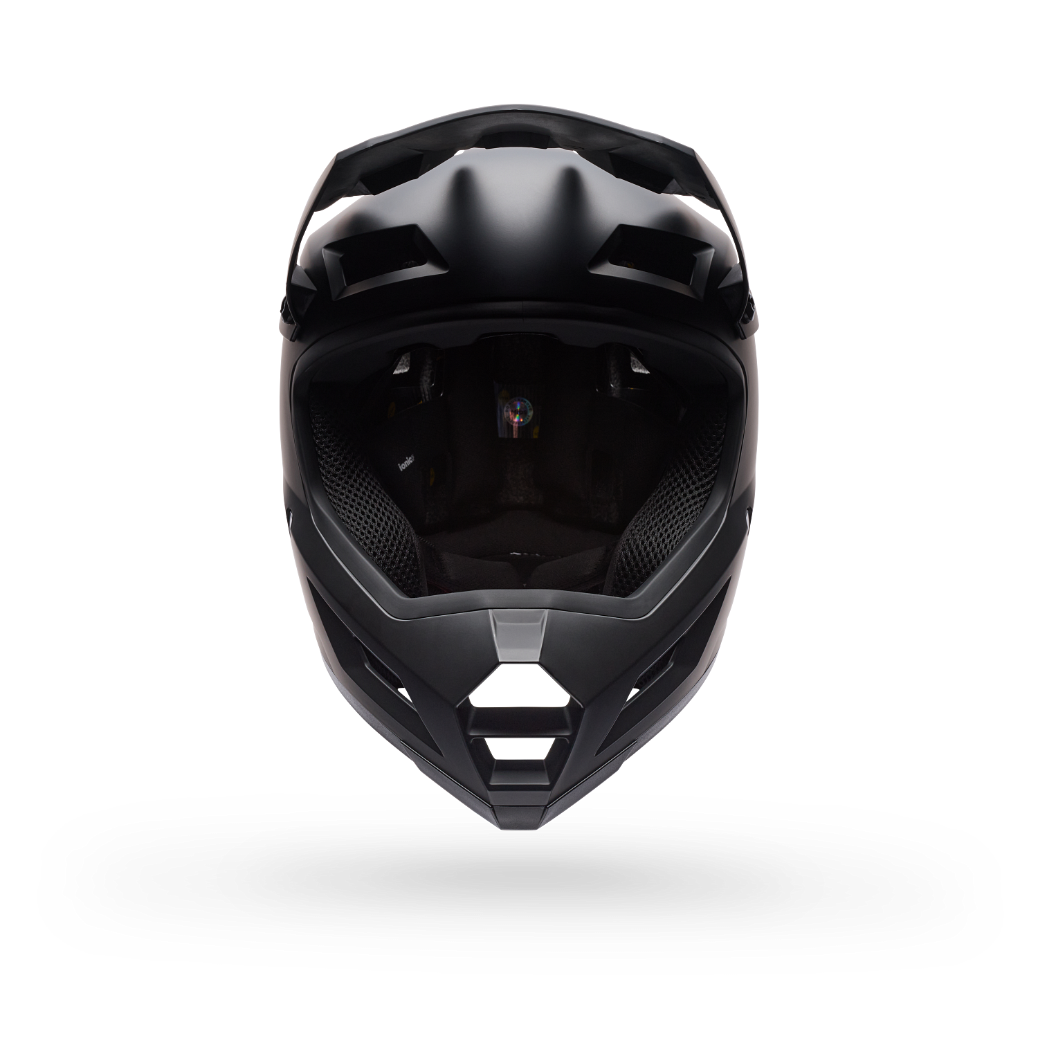 Sanction 2 DLX MIPS