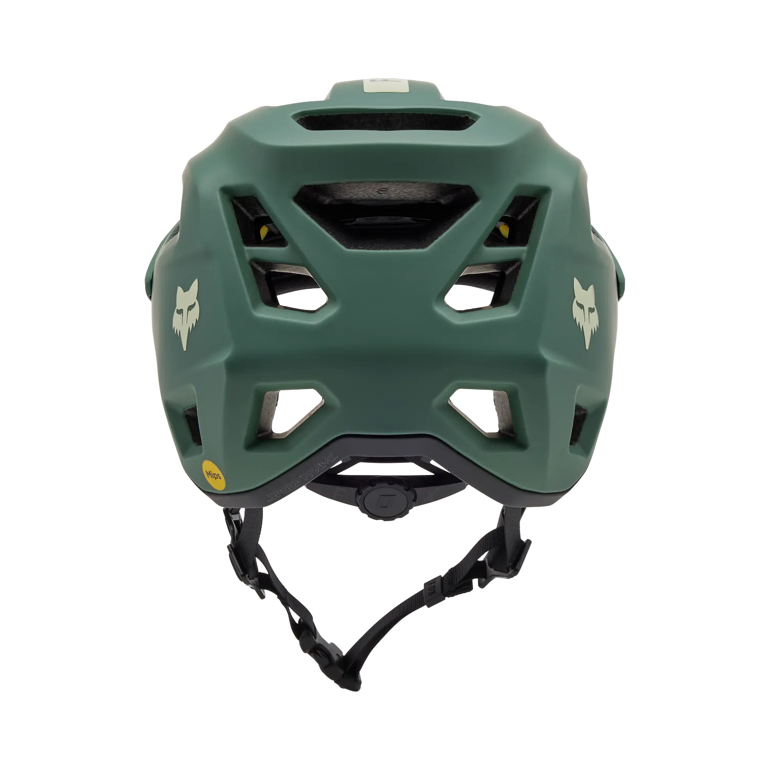 Casco Speedframe