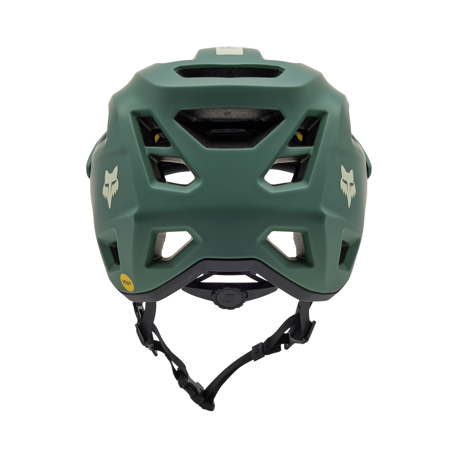 Casco Speedframe