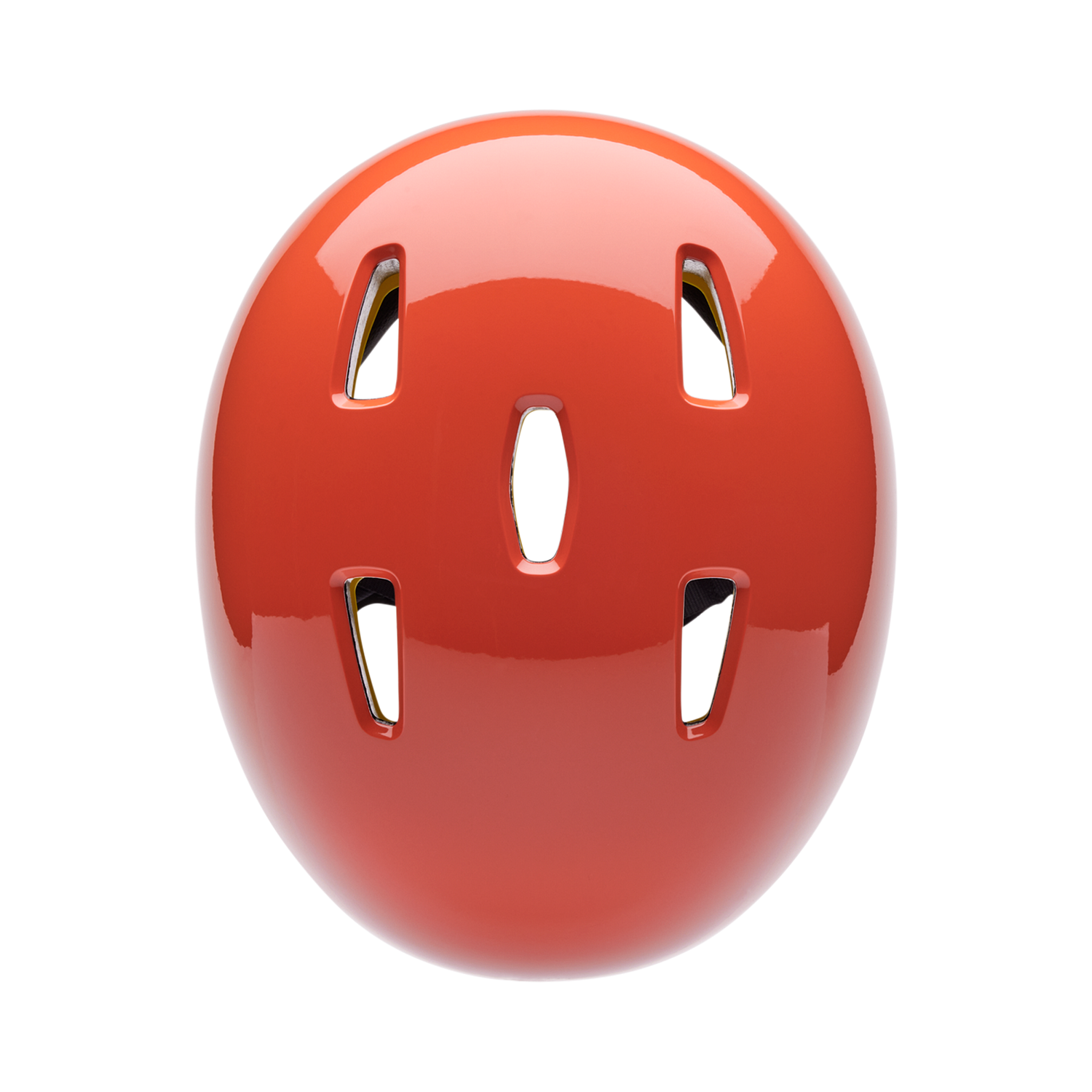 Flight Helmet