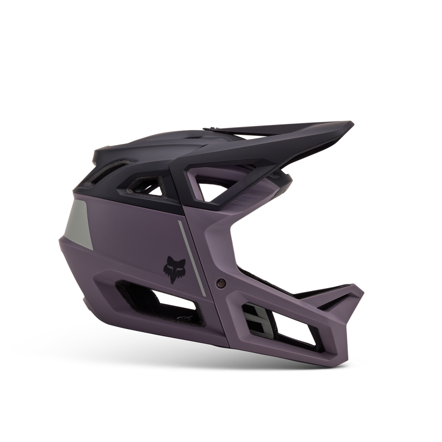Proframe Helmet