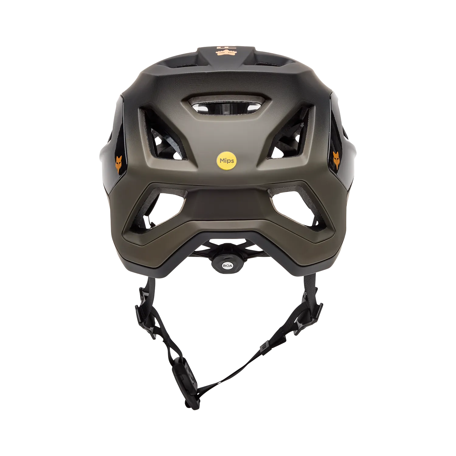 SPEEDFRAME PRO BACKFADE, AS 