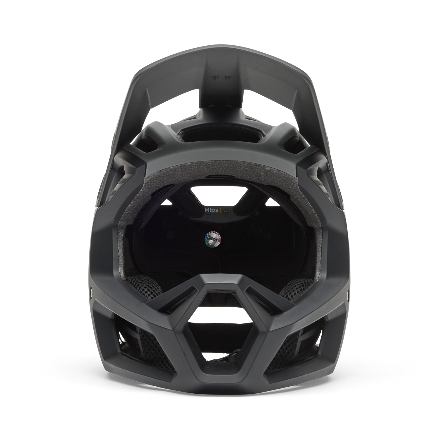Proframe Rizer Helmet