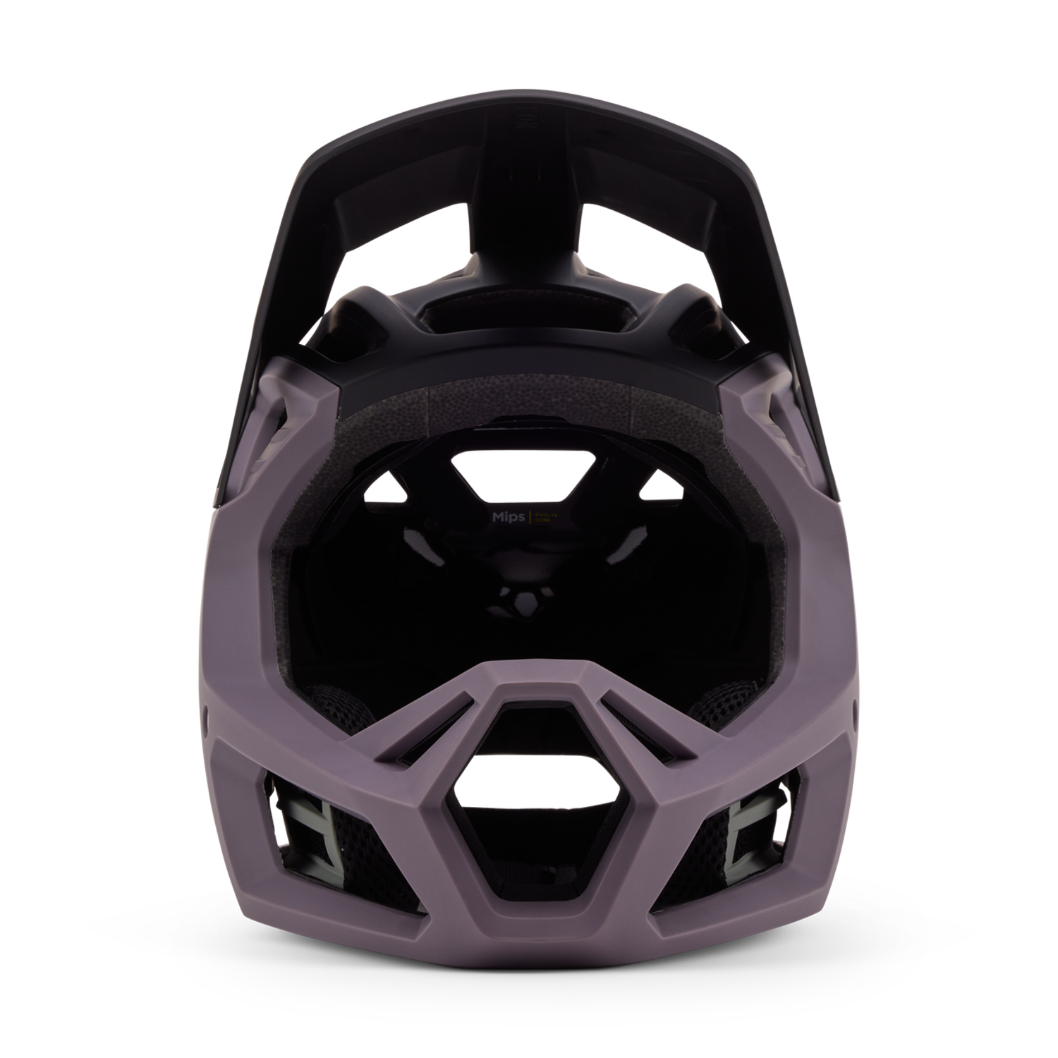 Proframe Helmet