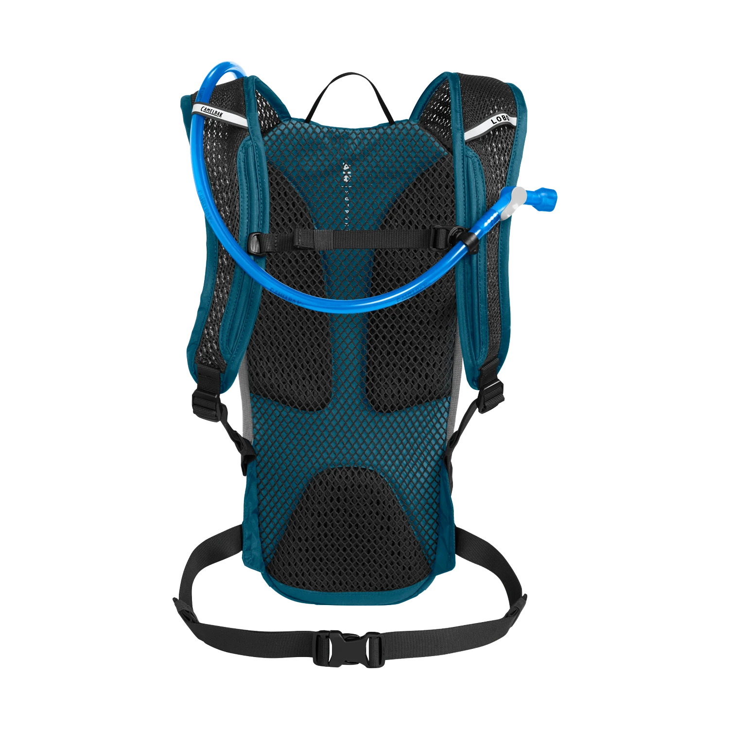 Lobo 9 70oz, Moroccan Blue/Black