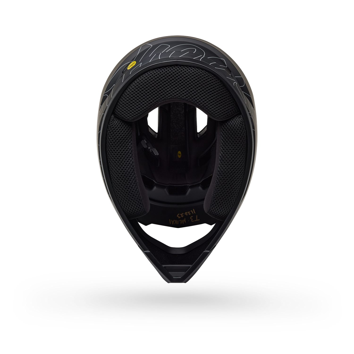 Sanction 2 DLX MIPS