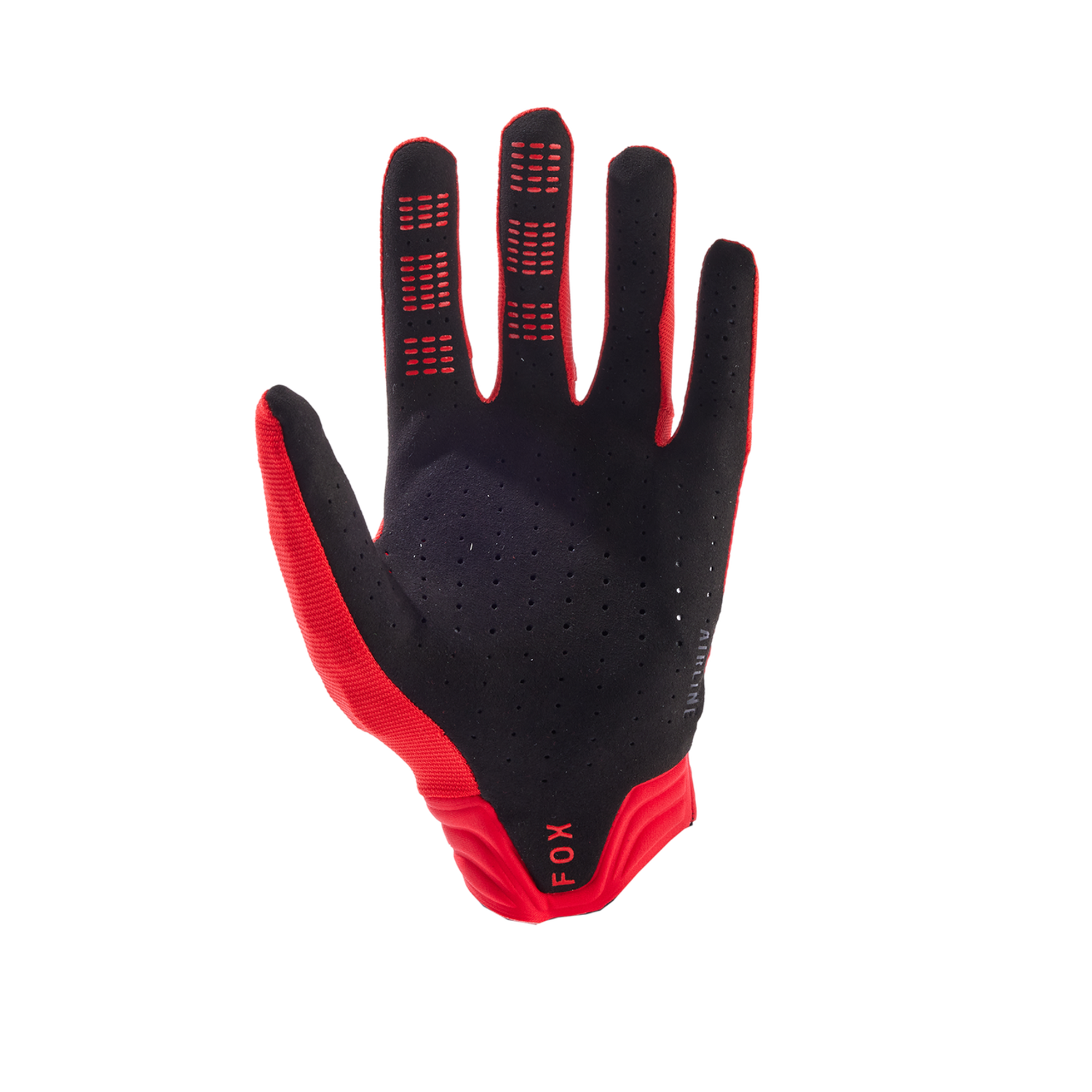 Gants Airline