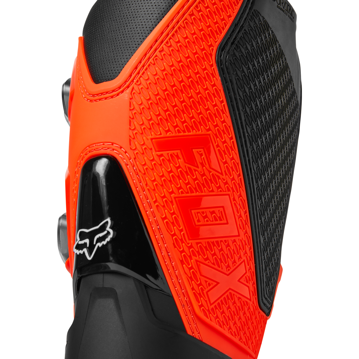 Bottes Motion