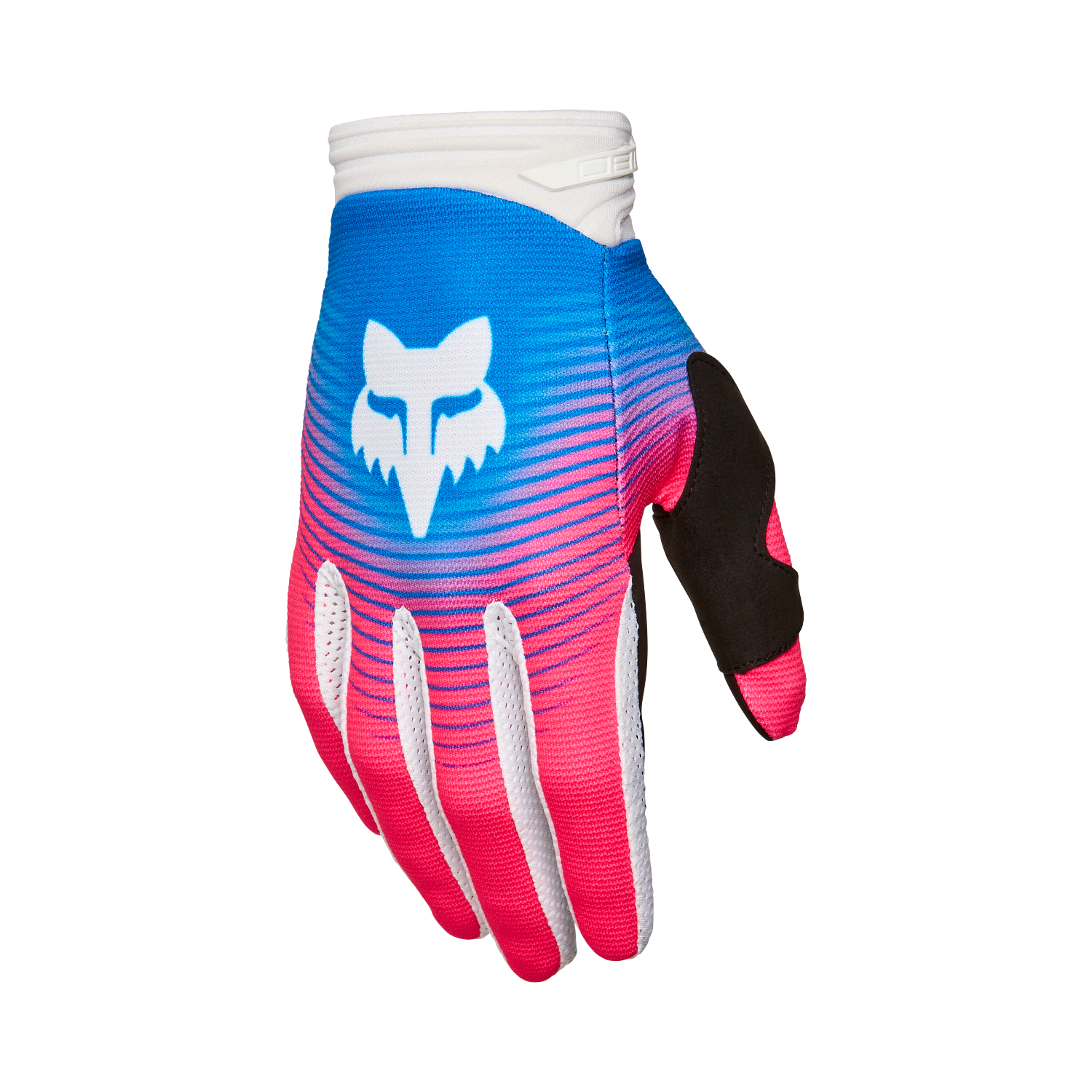 Gants 180 Collect