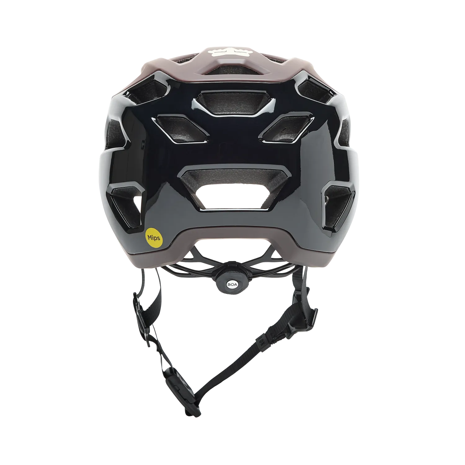 CROSSFRAME PRO SOLIDS 