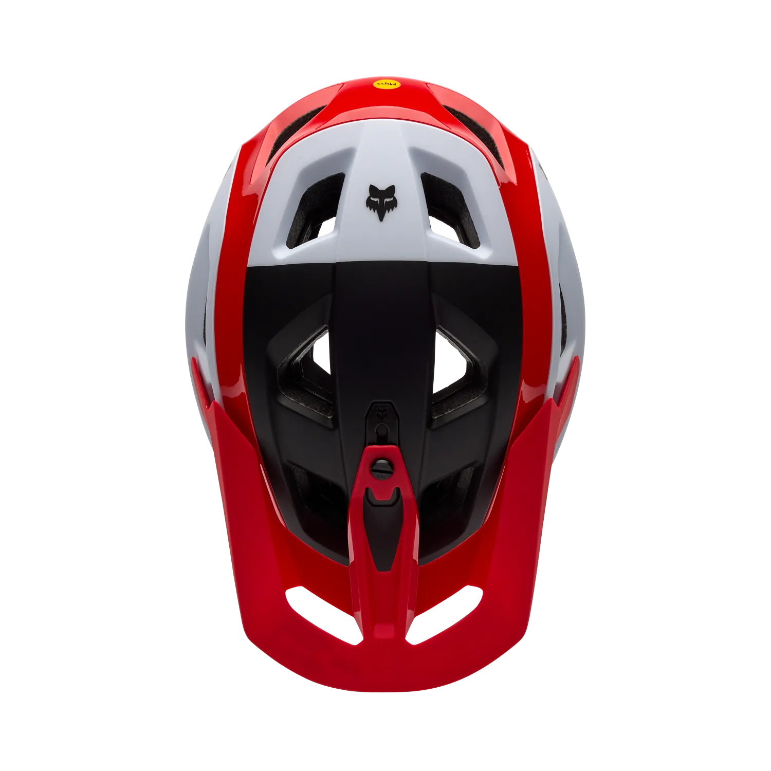 SPEEDFRAME RS PARANOID DTC 